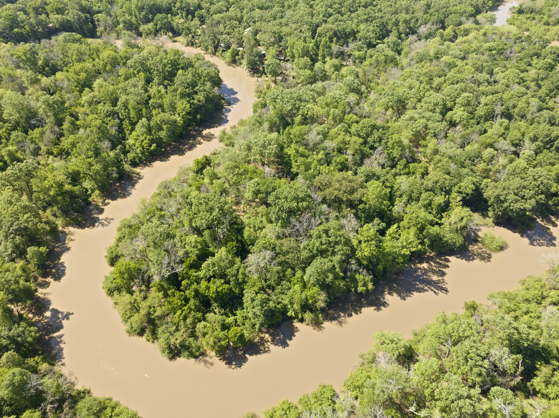 307 Fish Trap Lane Naples TX 75568