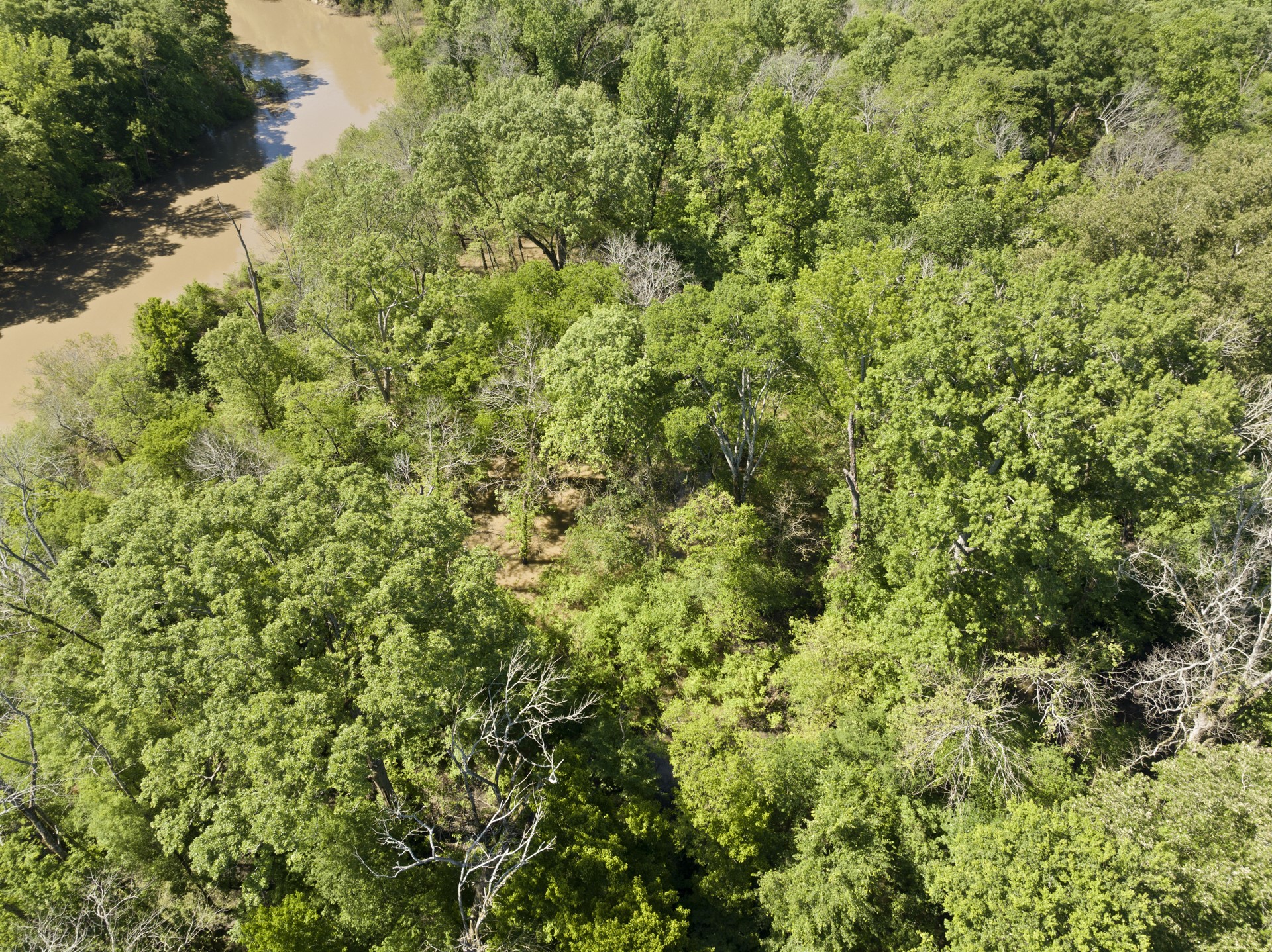 307 Fish Trap Lane Naples TX 75568