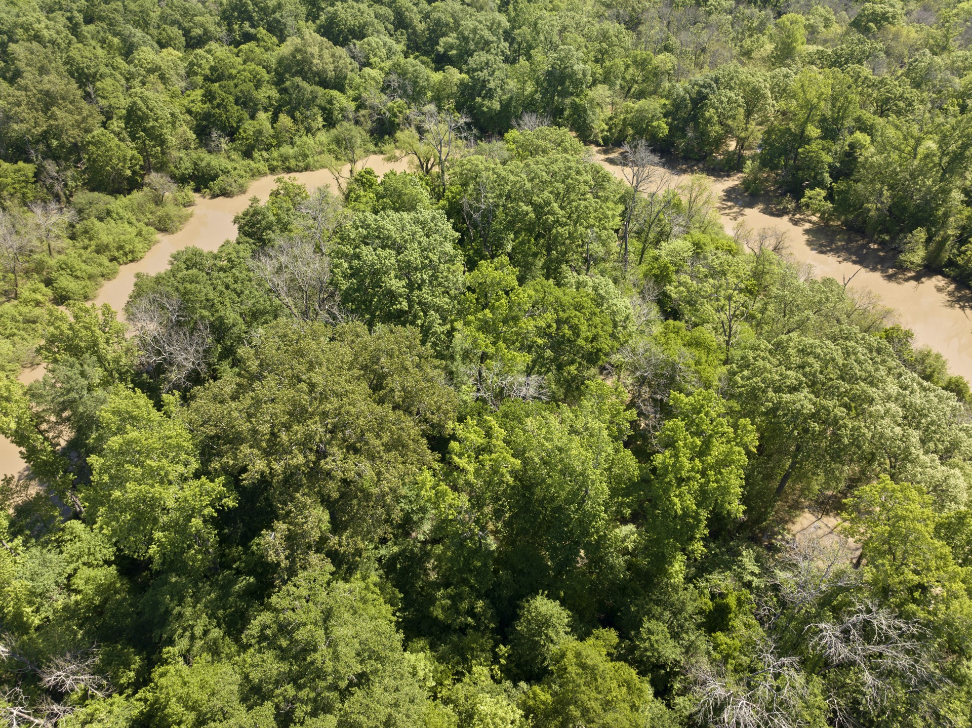 307 Fish Trap Lane Naples TX 75568