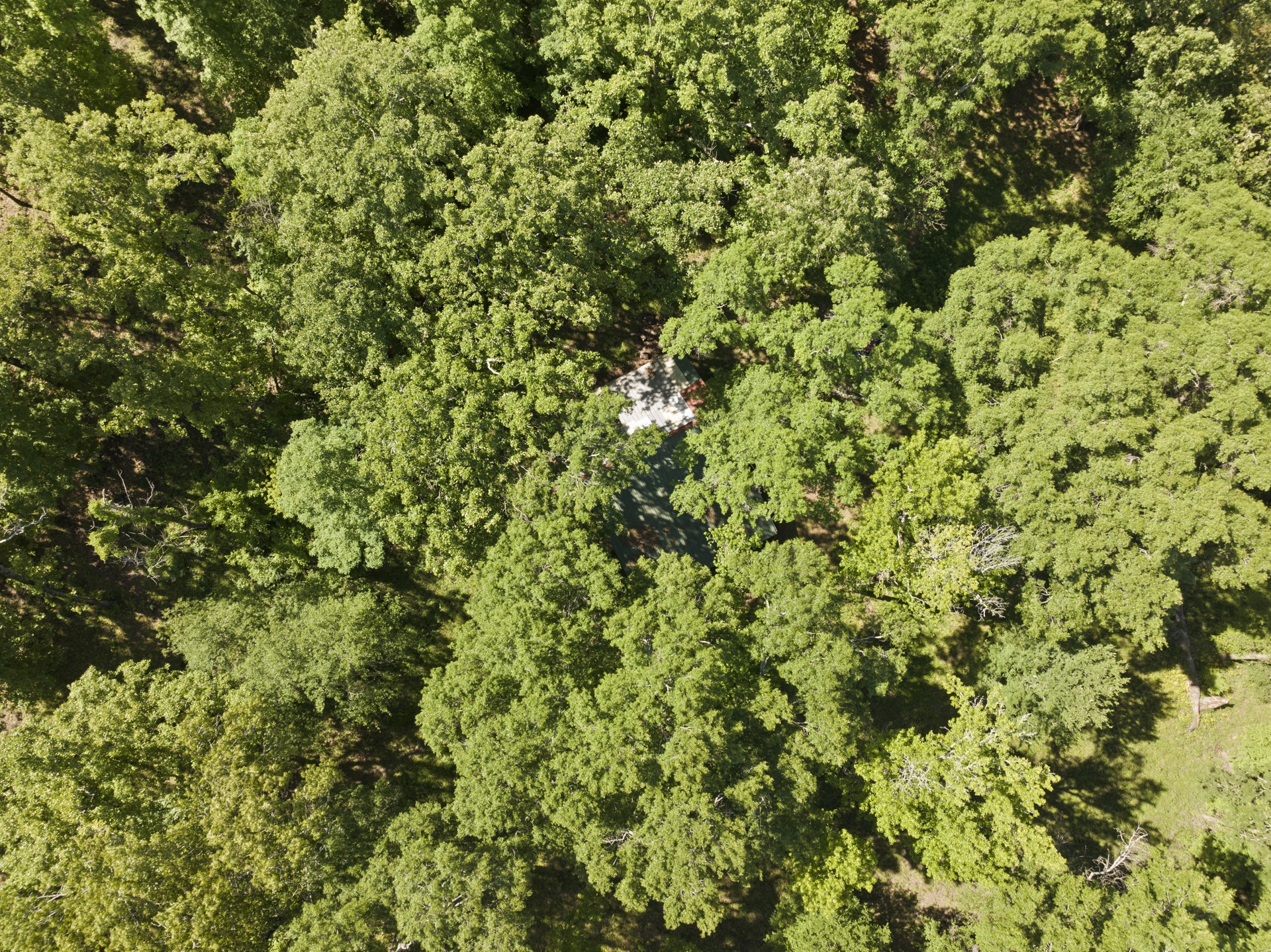 307 Fish Trap Lane Naples TX 75568
