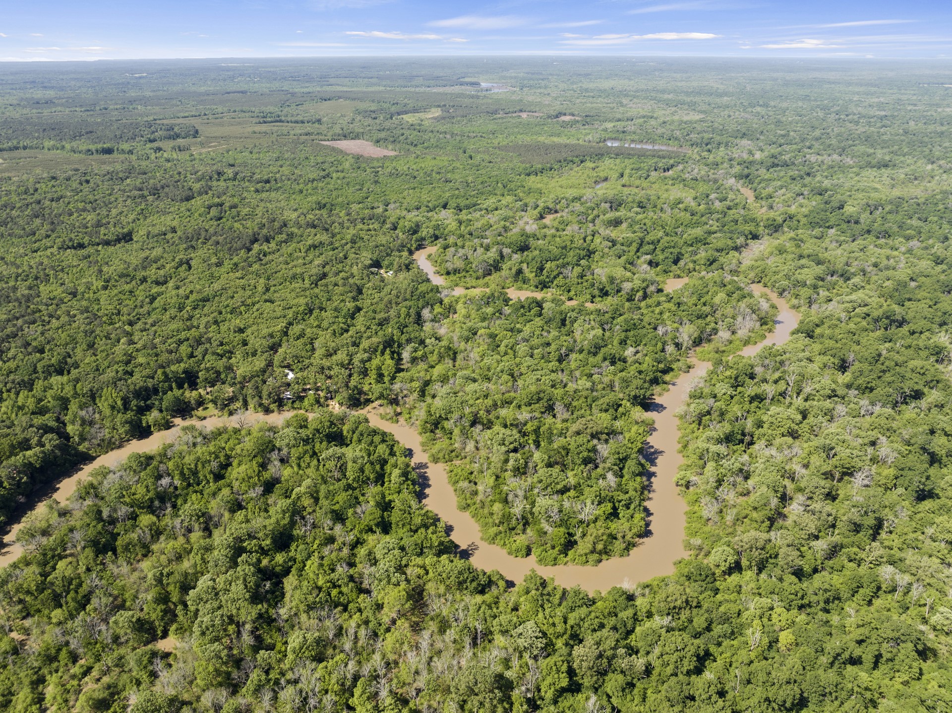 307 Fish Trap Lane Naples TX 75568