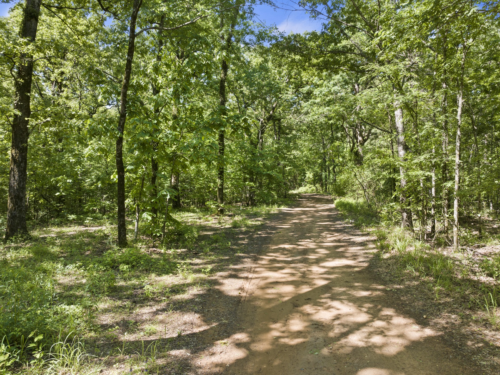 307 Fish Trap Lane Naples TX 75568