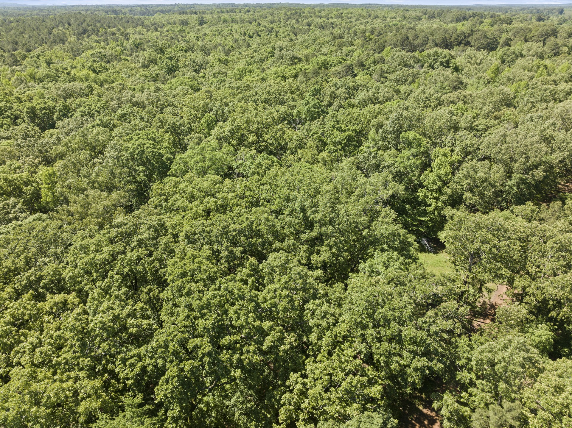 307 Fish Trap Lane Naples TX 75568
