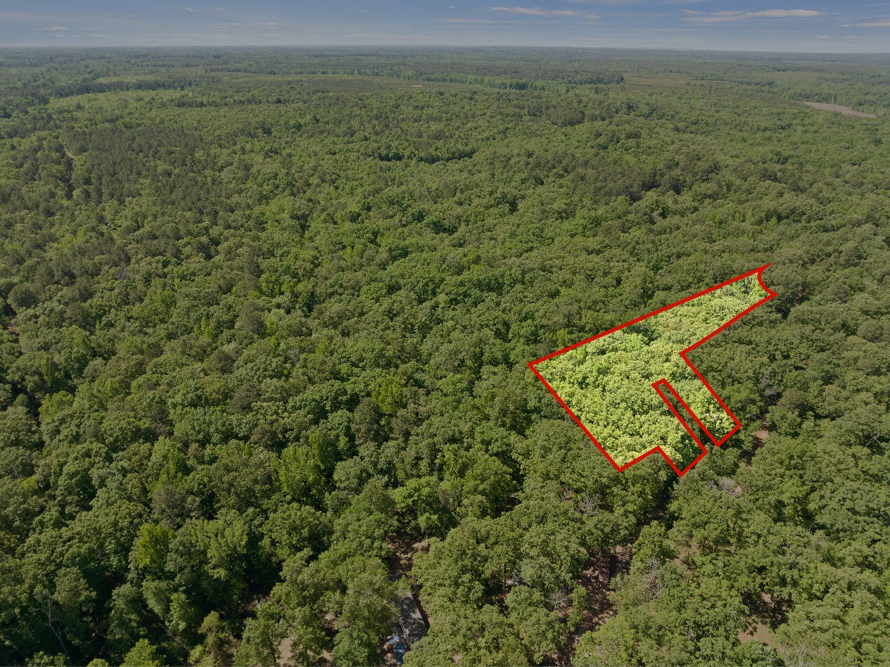 307 Fish Trap Lane Naples TX 75568
