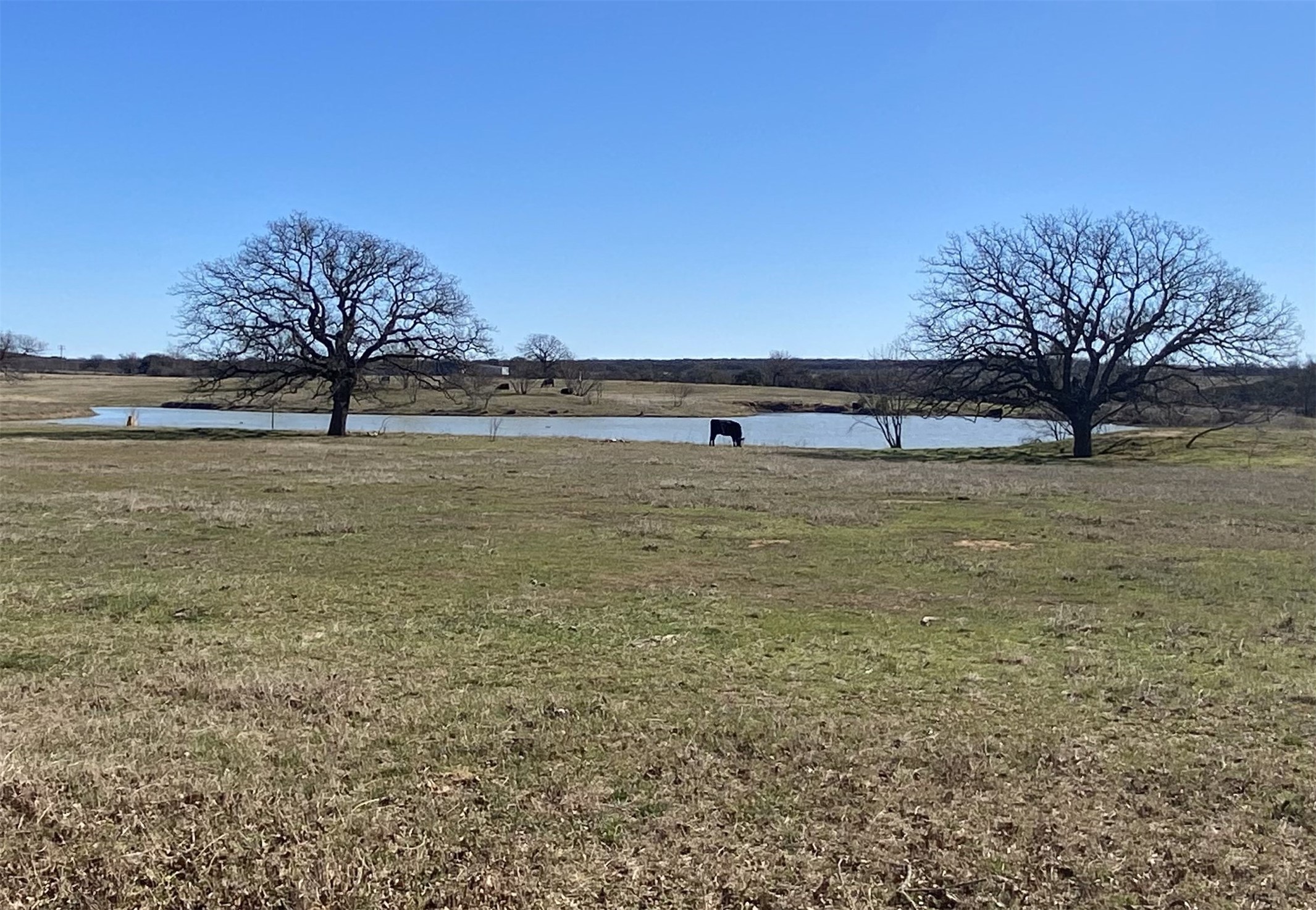 104 Long View Drive Mineral Wells TX 76067