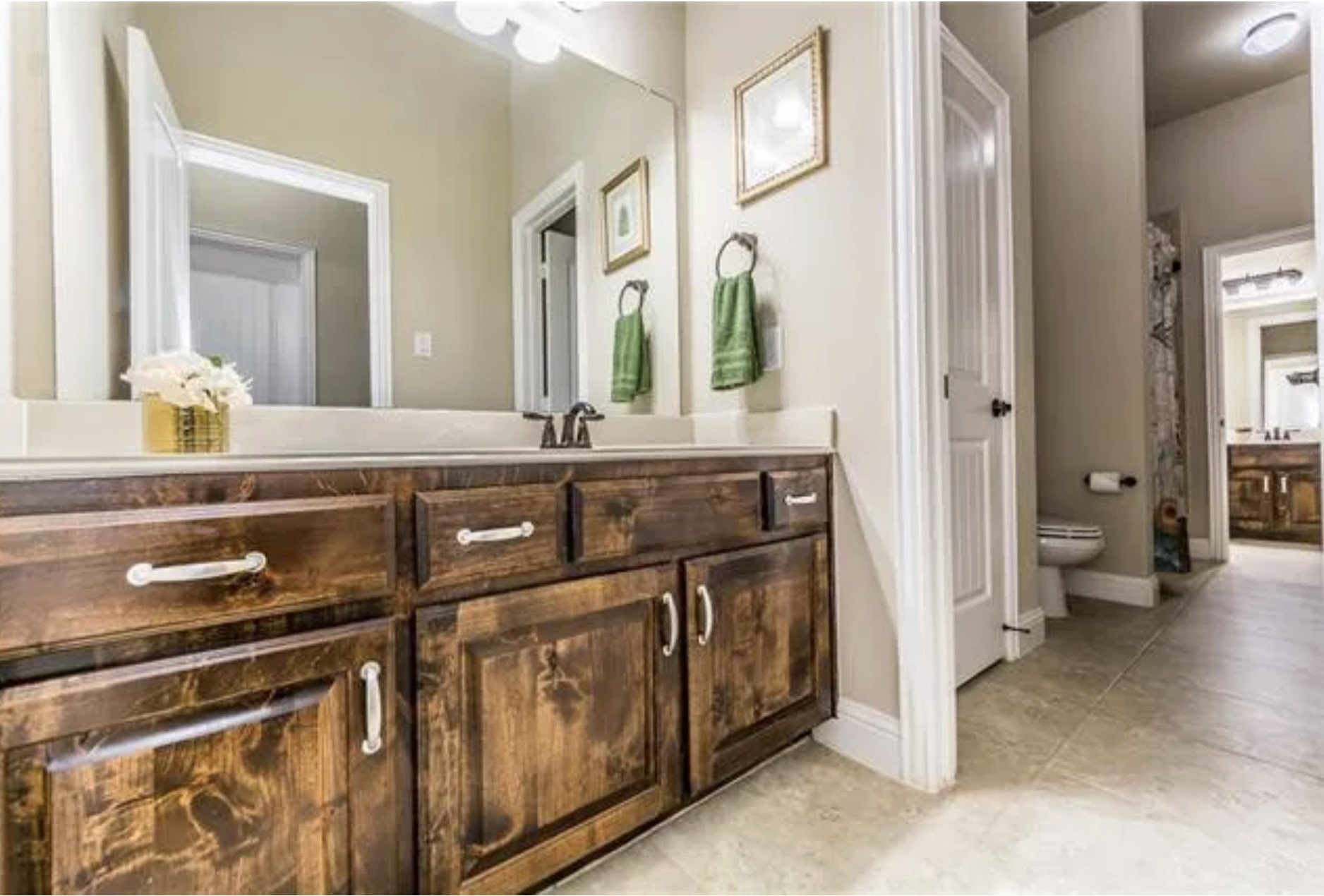 13541 N Mardi Gras Lane Frisco TX 75035
