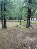 420 Post Oak Road Wills Point TX 75169
