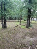 420 Post Oak Road Wills Point TX 75169