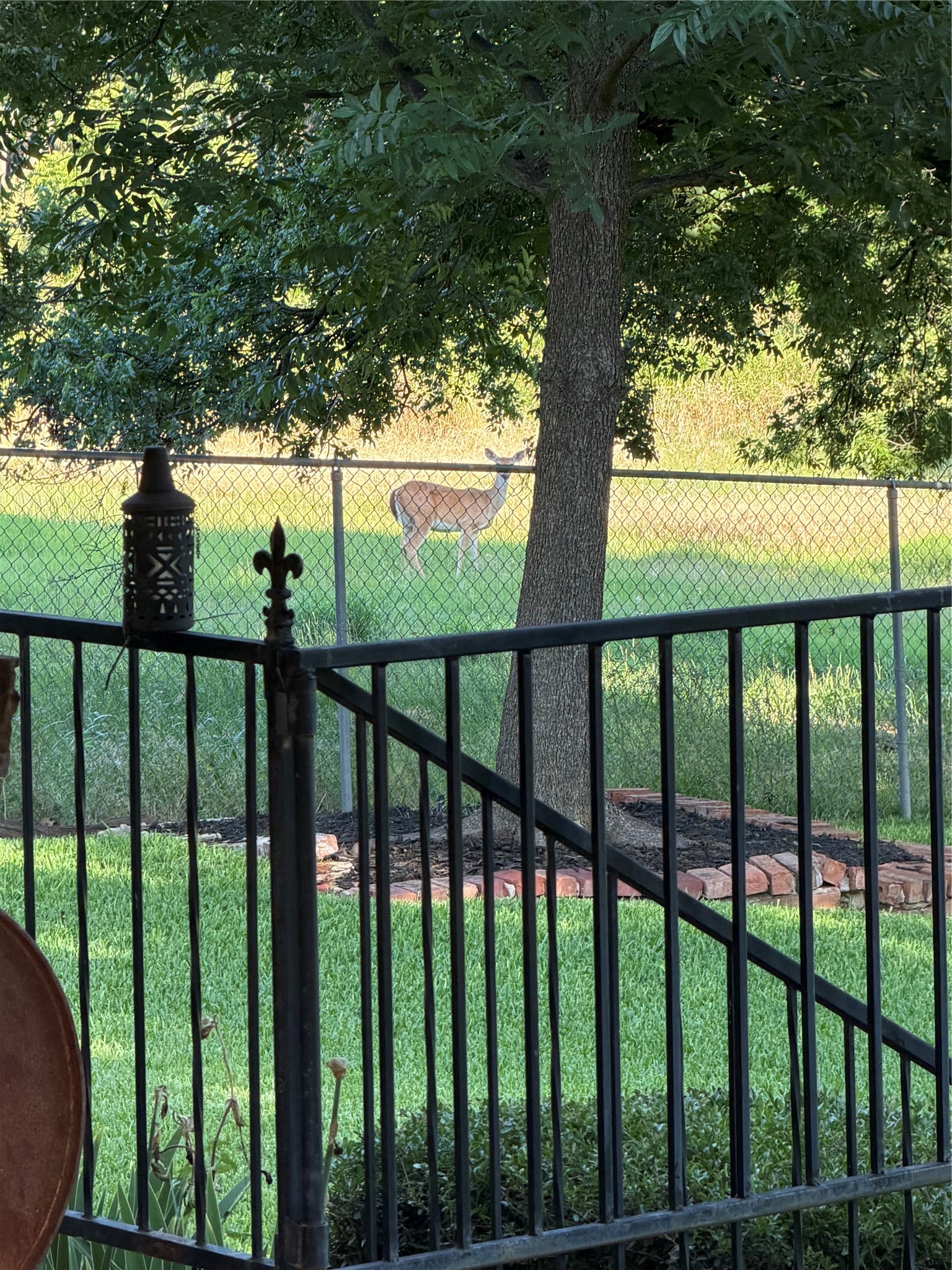 445 W Belknap Street Jacksboro TX 76458