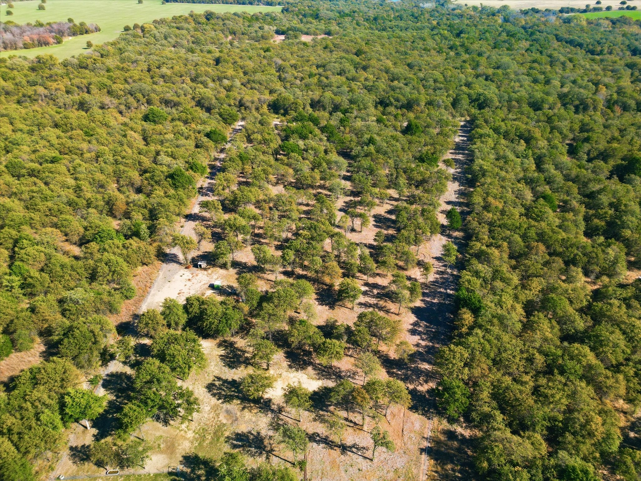 138 Gobbler Road Nocona TX 76255