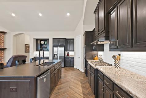 9921 Peninsula Point Little Elm TX 75068