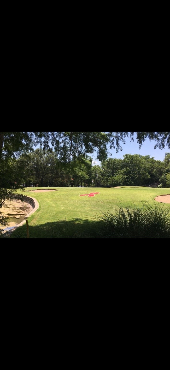 1009 Place Louie Desoto TX 75115