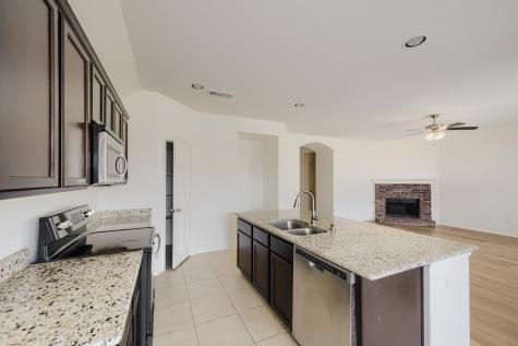 1736 Shoebill Drive Little Elm TX 75068