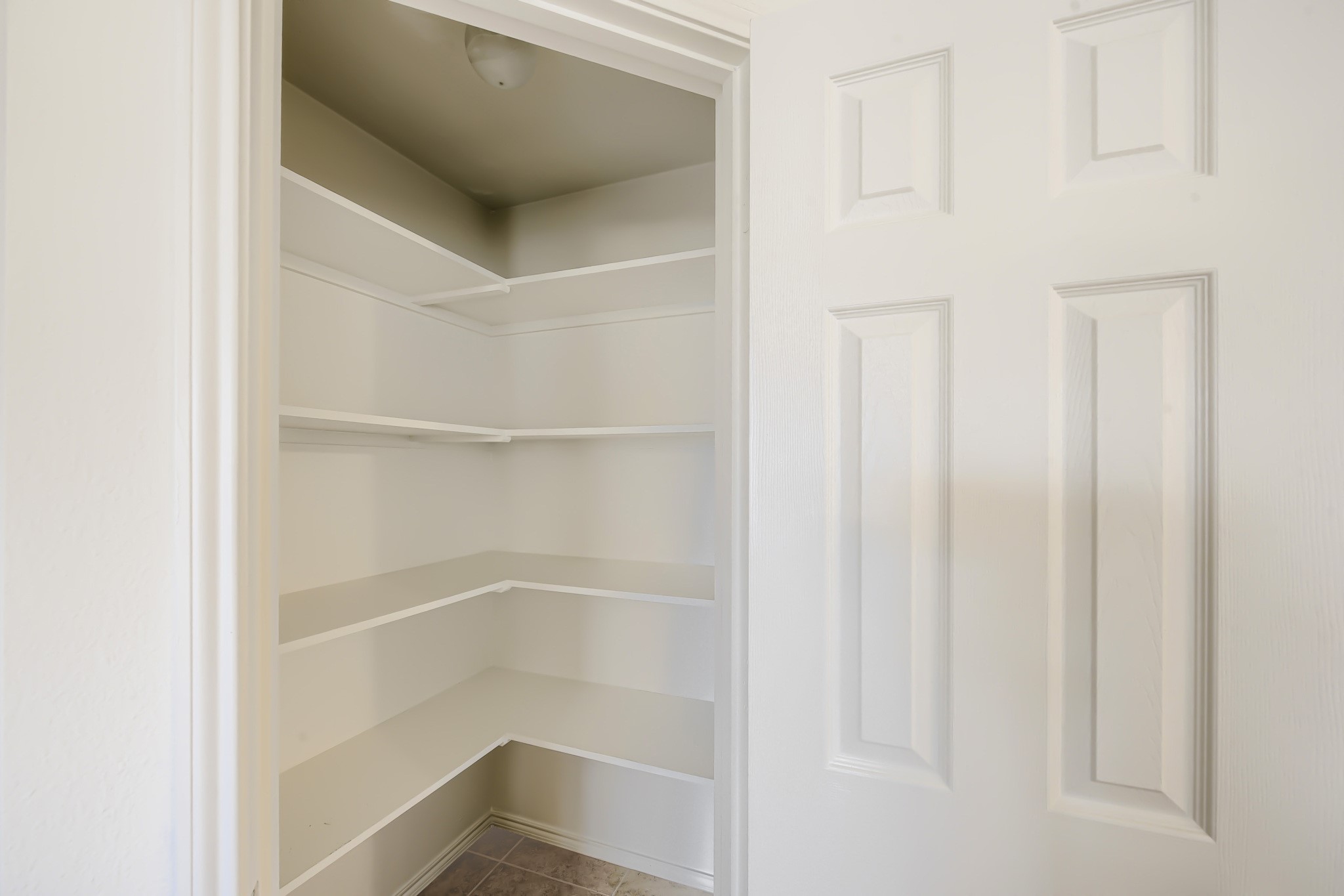 1736 Shoebill Drive Little Elm TX 75068