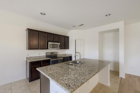 1736 Shoebill Drive Little Elm TX 75068
