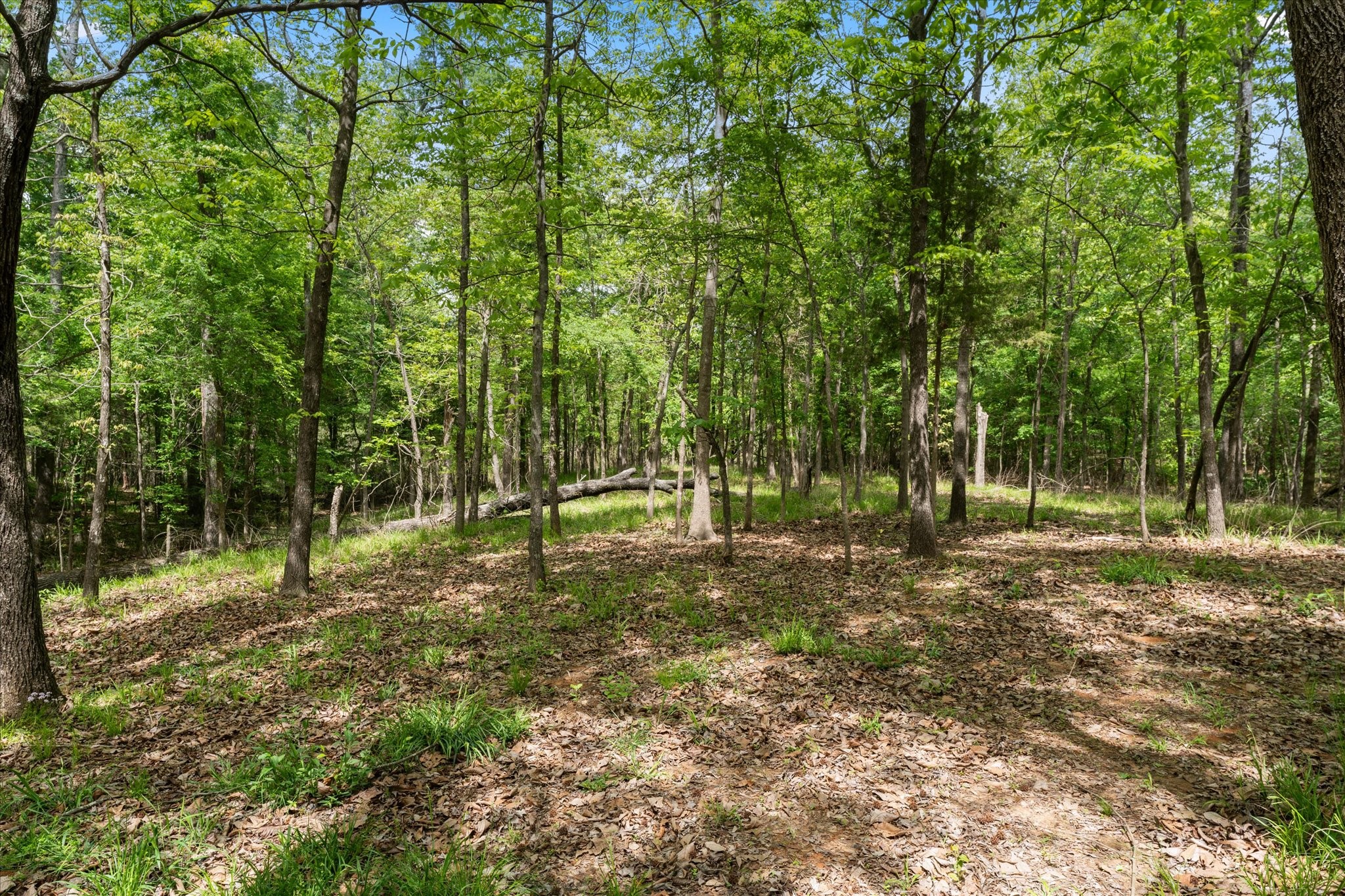 353 Pr 5861 Yantis TX 75497