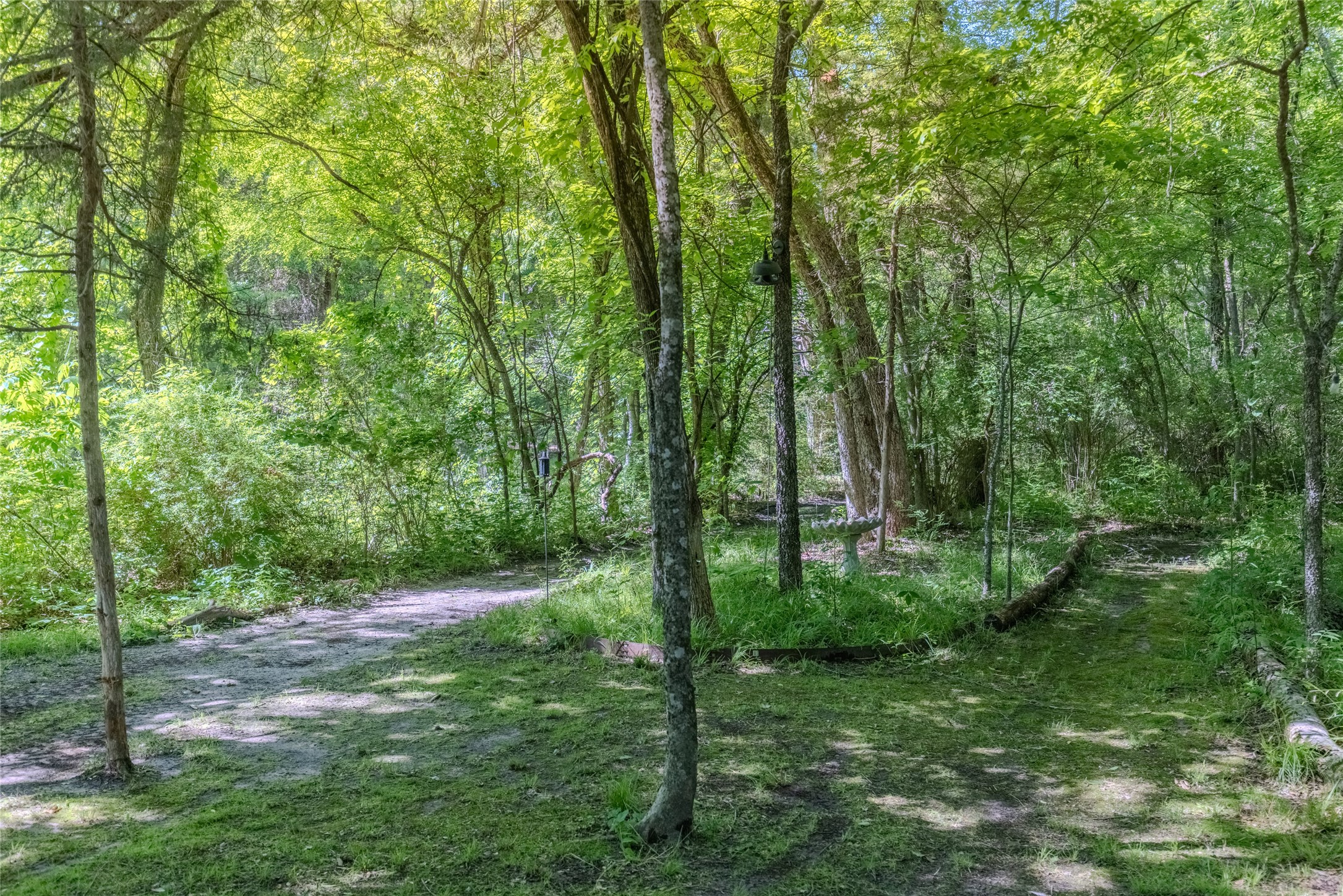 1422 County Road 1036 Greenville TX 75401