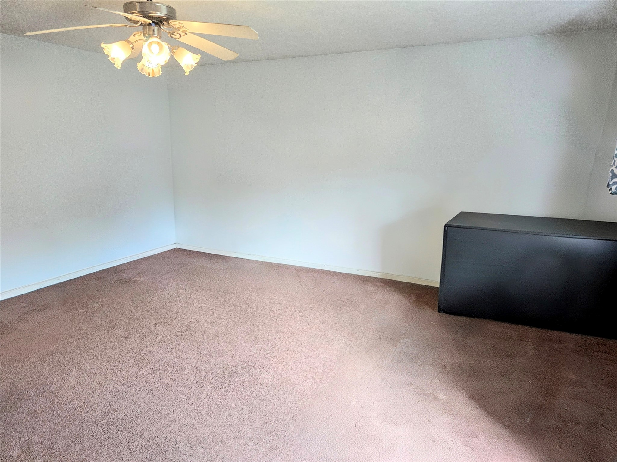 8853 E Buffalo Circle Willis TX 77378
