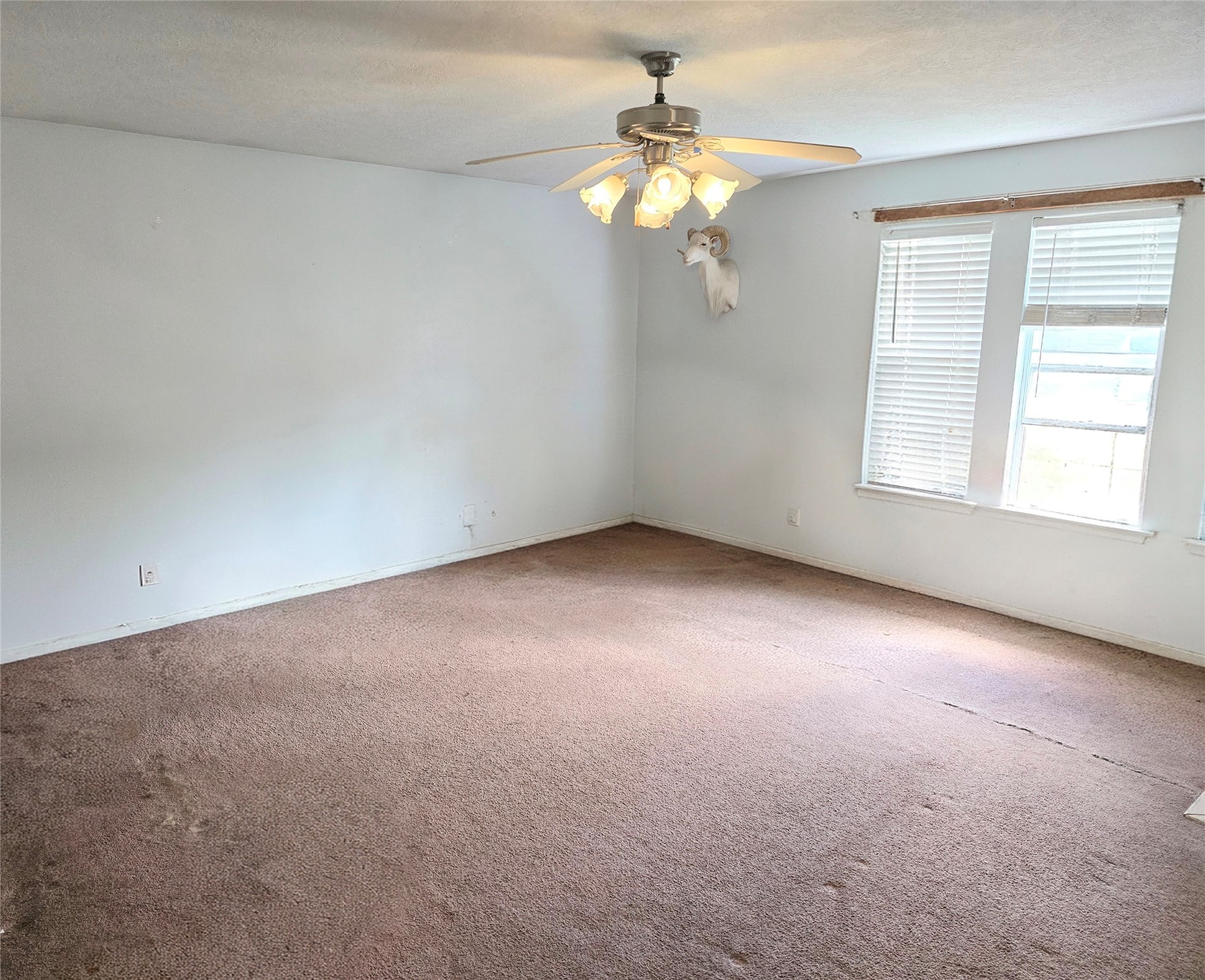 8853 E Buffalo Circle Willis TX 77378