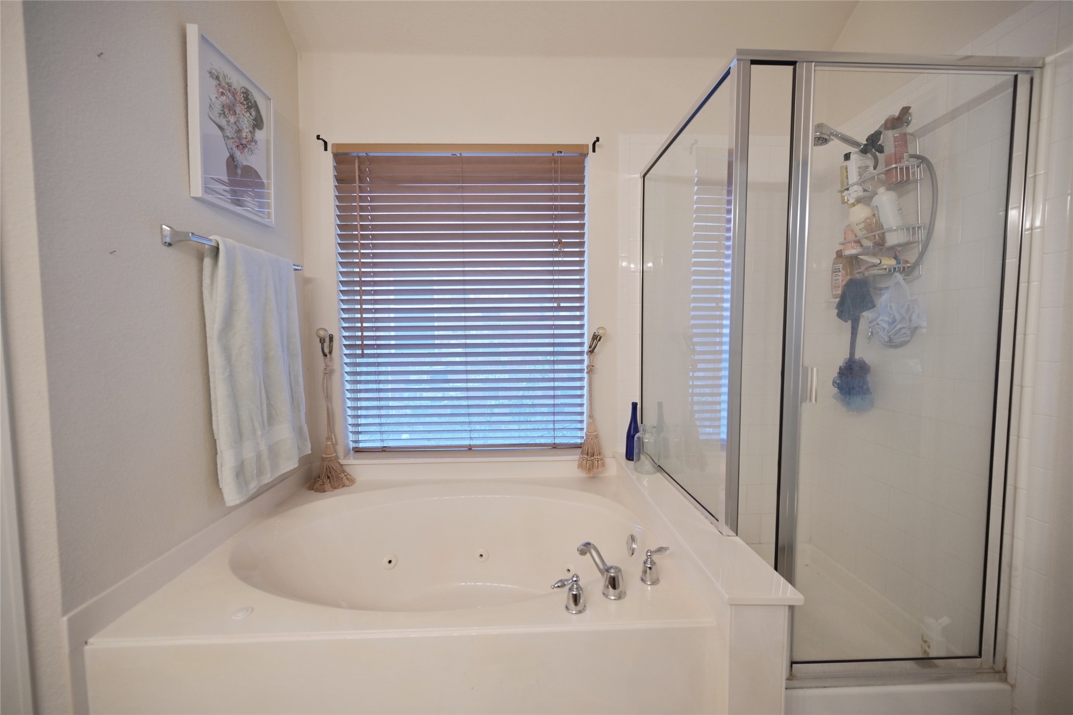 4509 Butterfly Way Fort Worth TX 76244