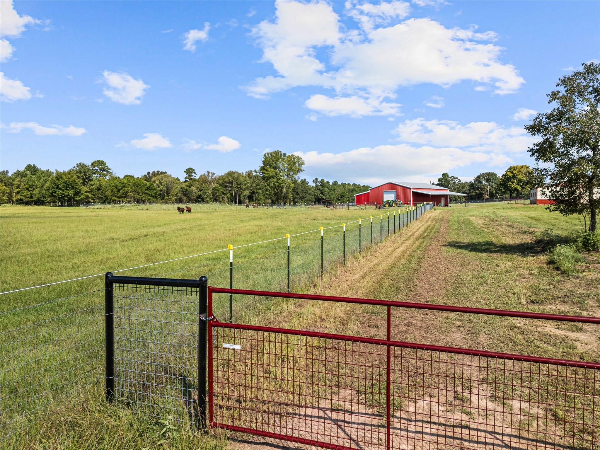5989 Highway 259 Diana TX 75640