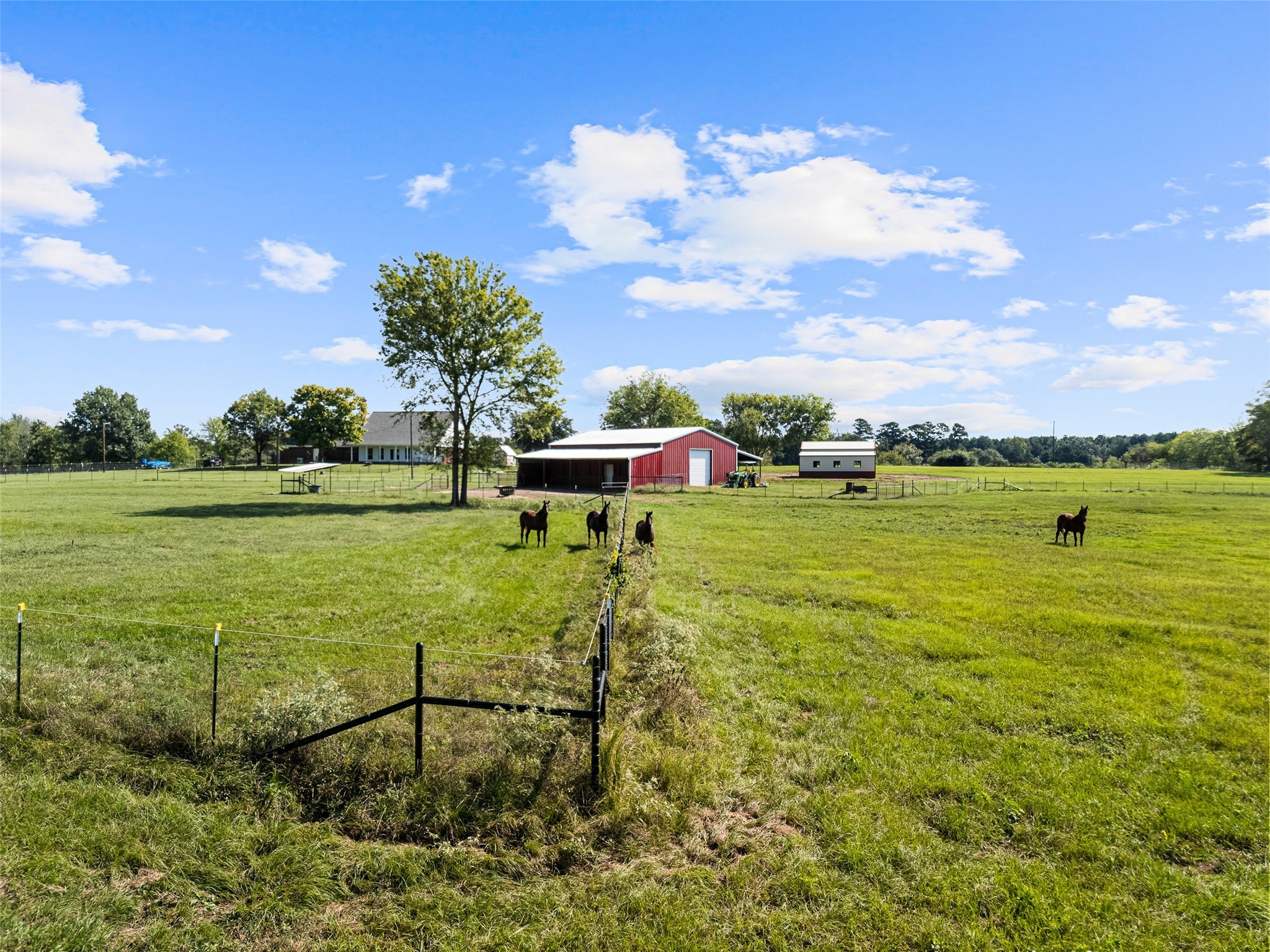5989 Highway 259 Diana TX 75640