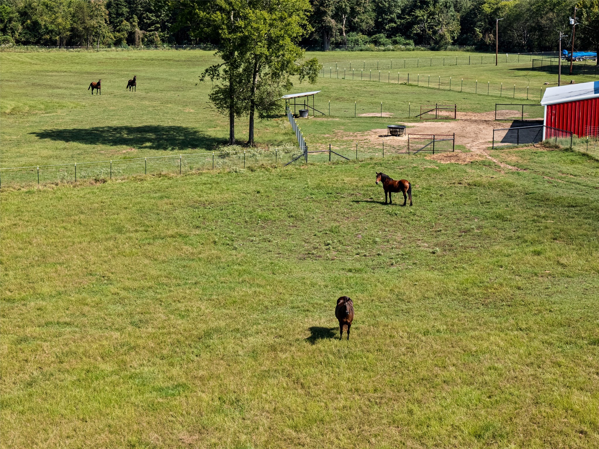 5989 Highway 259 Diana TX 75640