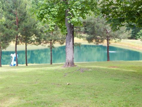 1106 Tall Timbers Gilmer TX 75645