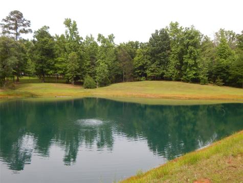 1106 Tall Timbers Gilmer TX 75645