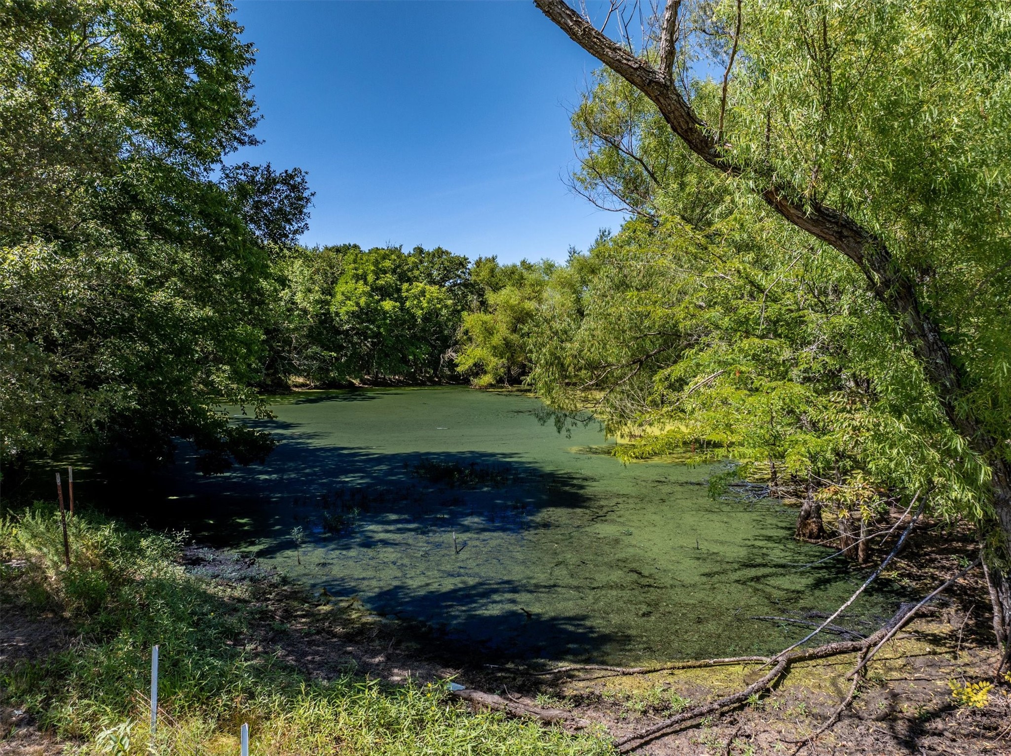 3139 Farm Road 3134 Cumby TX 75433