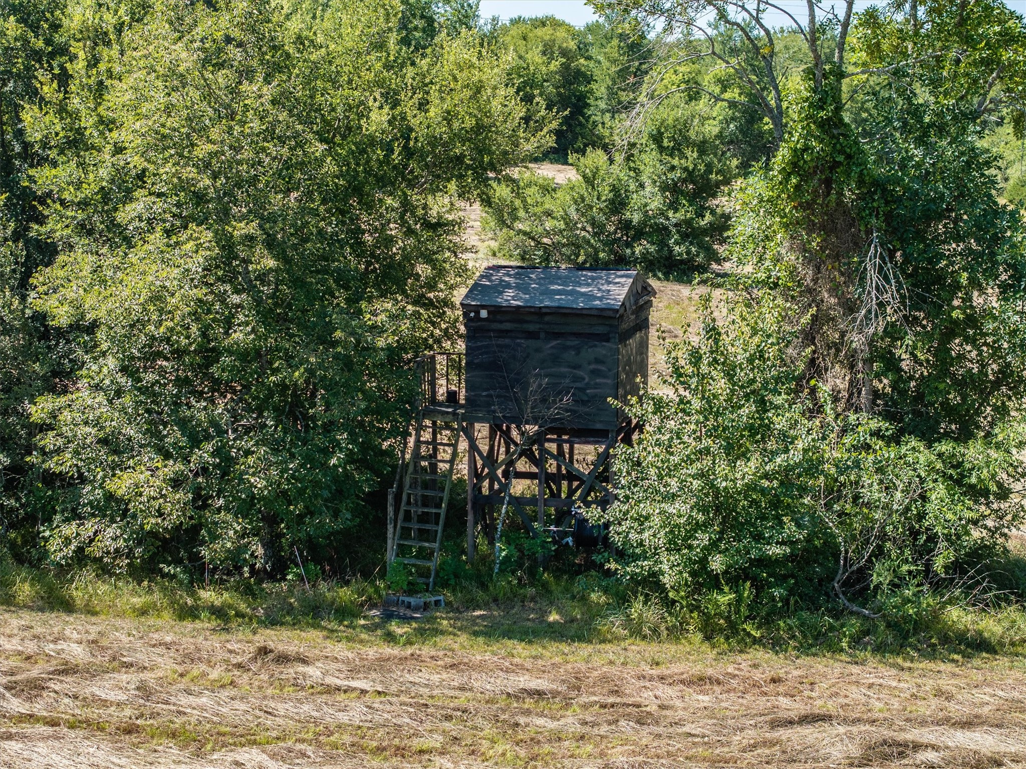 3139 Farm Road 3134 Cumby TX 75433