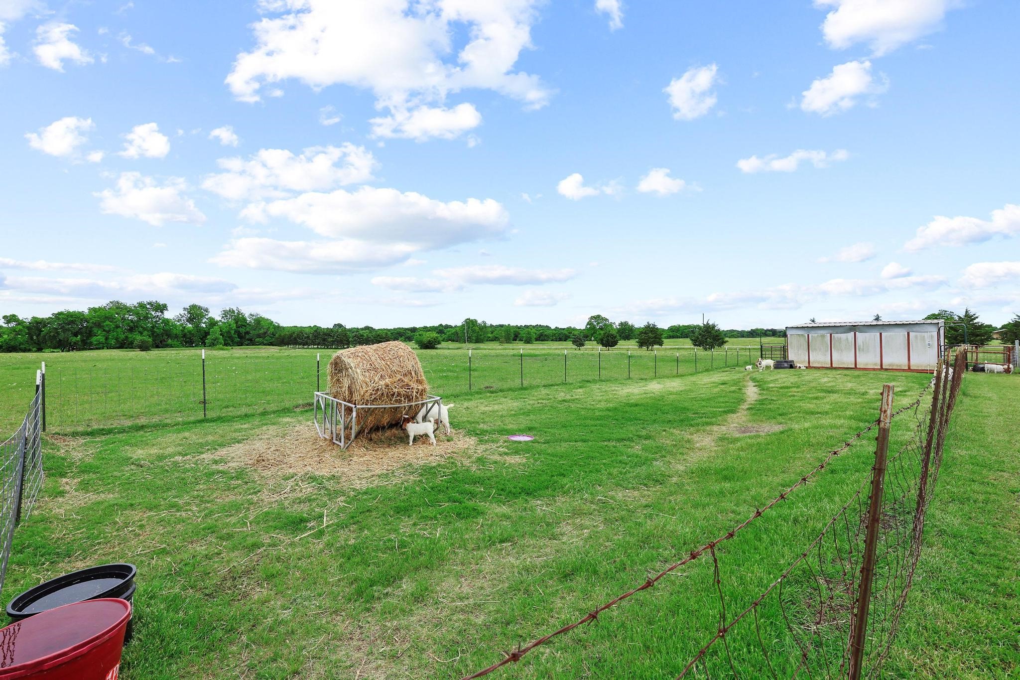 1217 County Road 4705 Leonard TX 75452