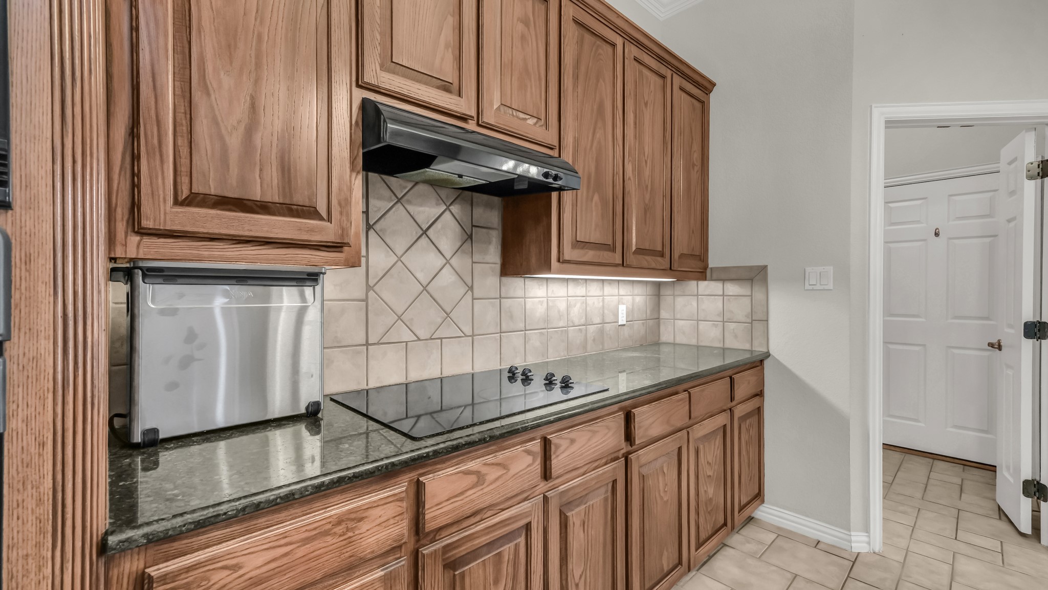 203 Mockingbird Lane Aledo TX 76008