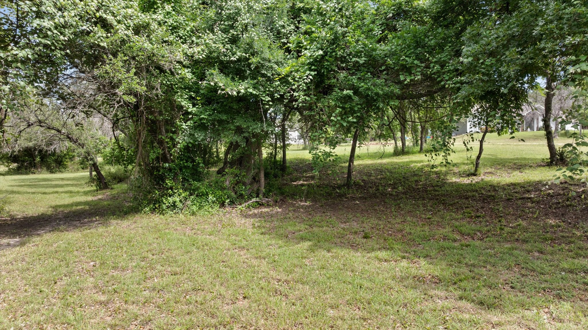 1495 Peninsula Drive Bluff Dale TX 76433