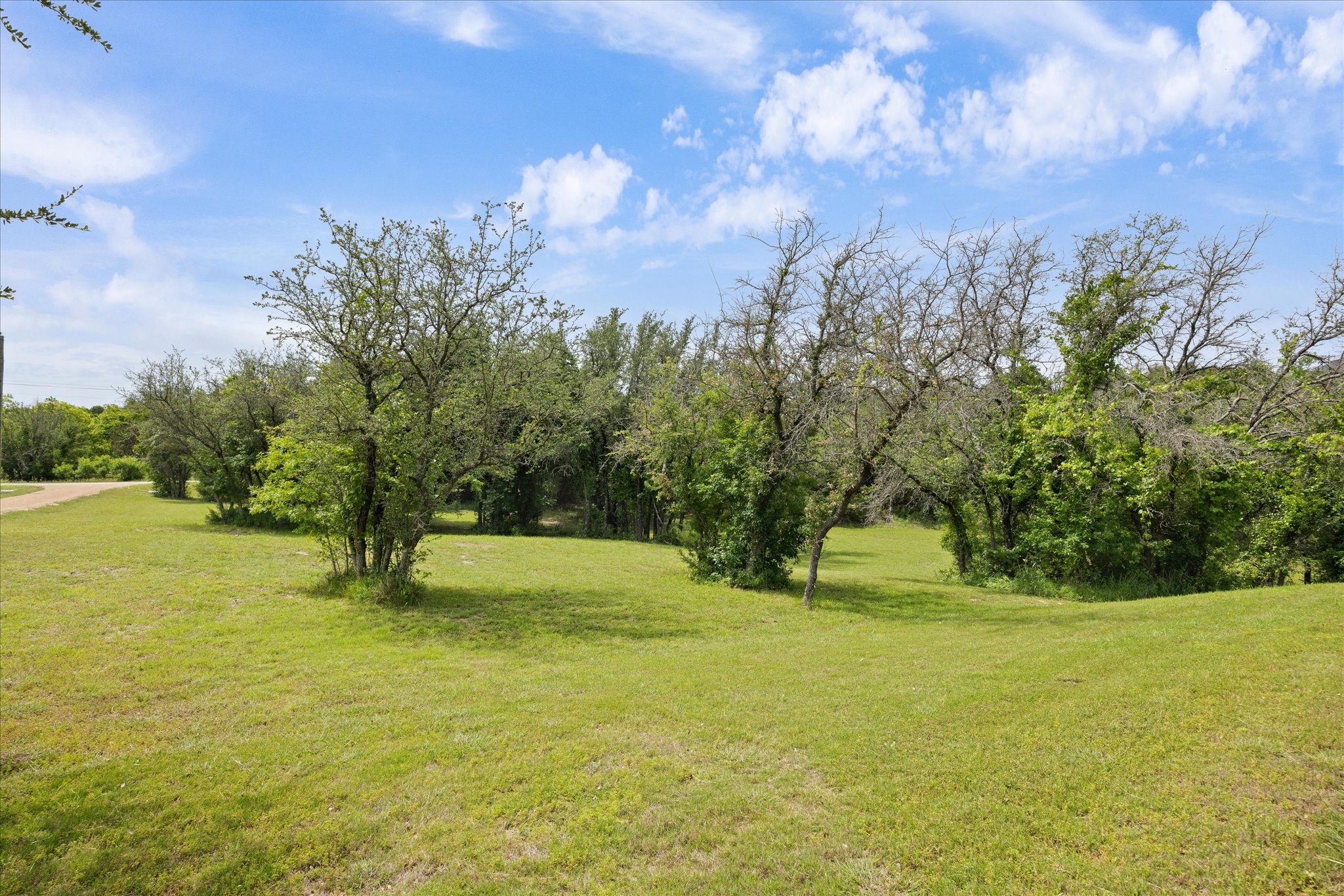 1495 Peninsula Drive Bluff Dale TX 76433