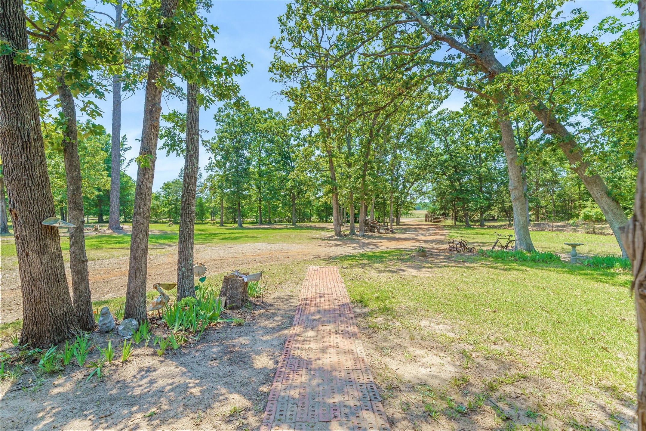 7611 Fm 314 Ben Wheeler TX 75754