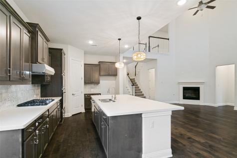 13774 Mammoth Cave Lane Frisco TX 75035