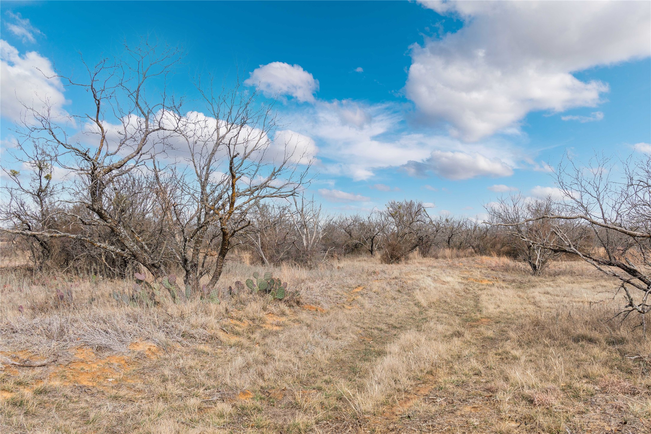 14202 County Road 421 May TX 76857
