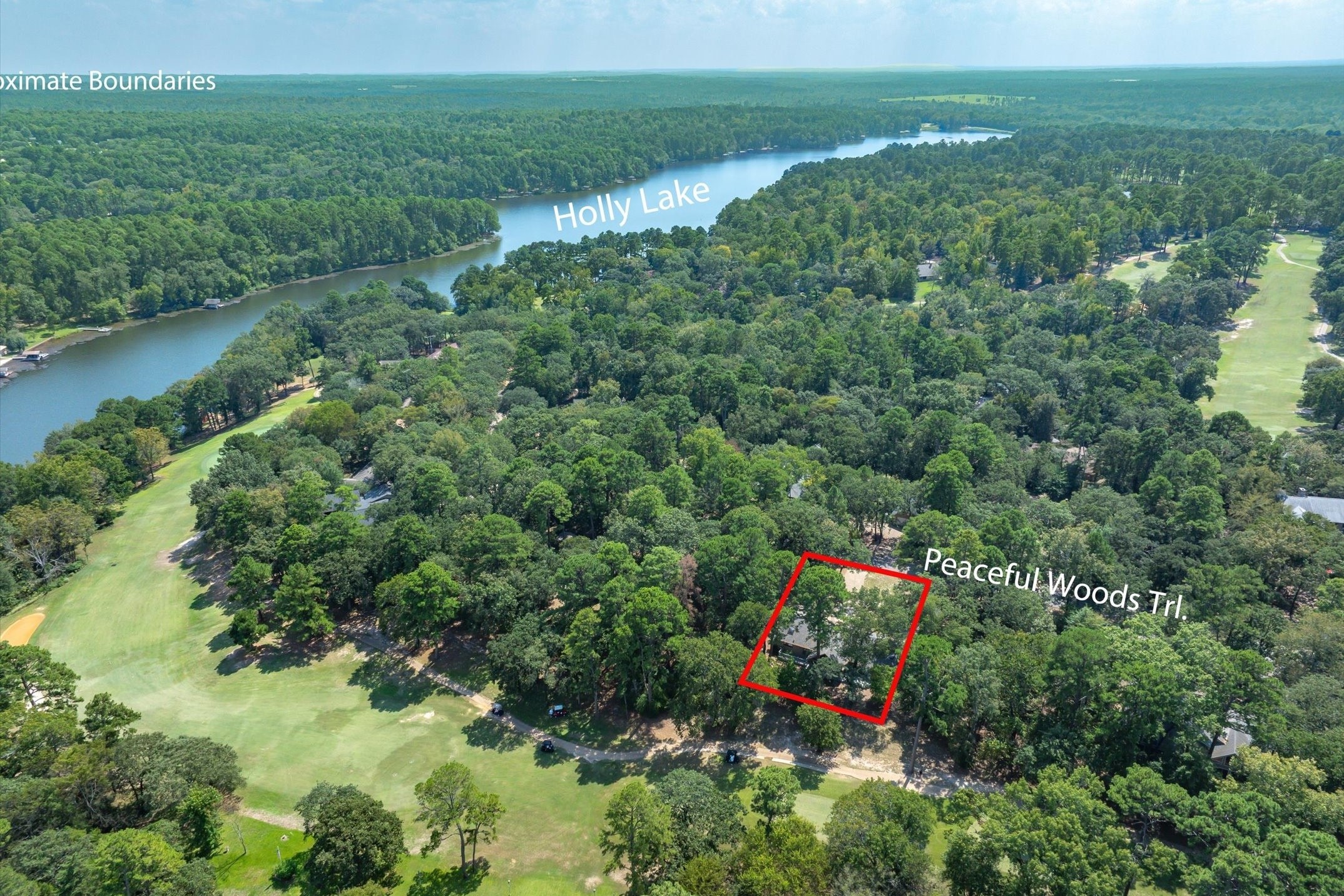 257 Peaceful Woods Trail Holly Lake Ranch TX 75765