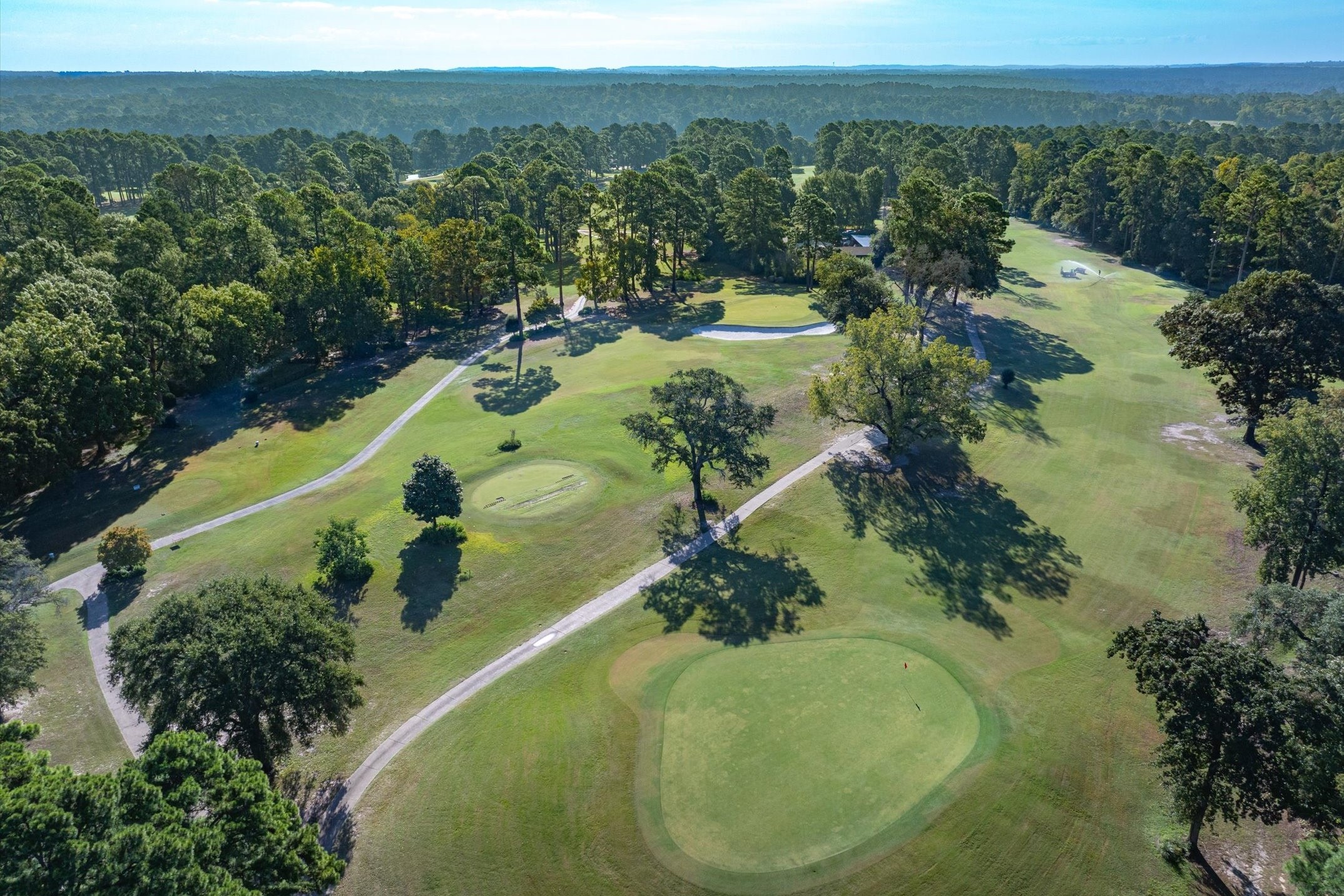 257 Peaceful Woods Trail Holly Lake Ranch TX 75765