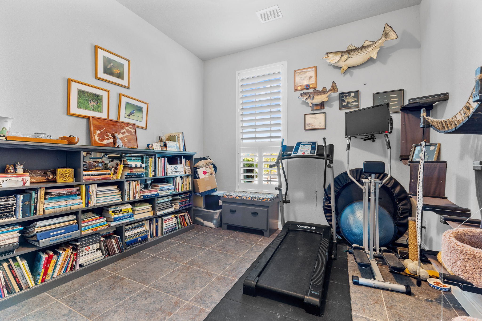 1650 Brighton Boulevard Celina TX 75009