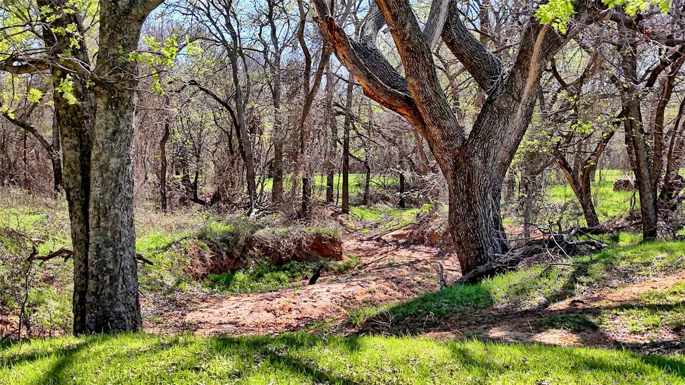 4179 Rock Springs School Road Nocona TX 76255