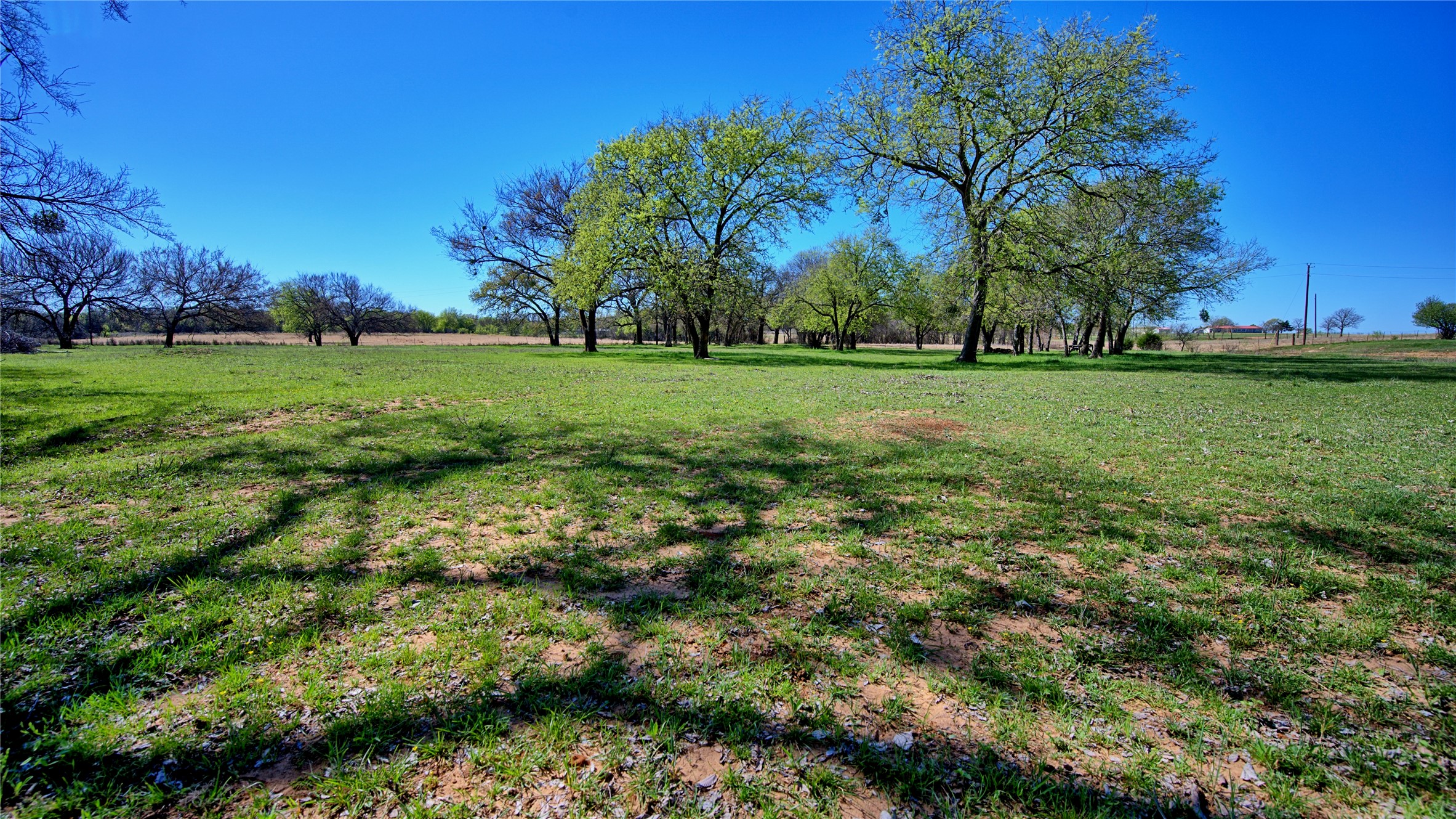 4179 Rock Springs School Road Nocona TX 76255