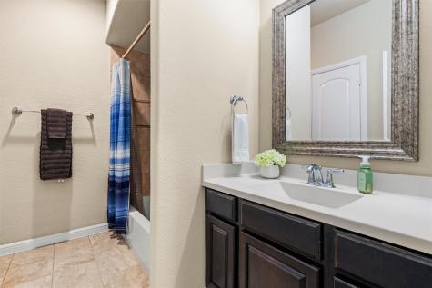 920 Goldenmist Drive Little Elm TX 75068