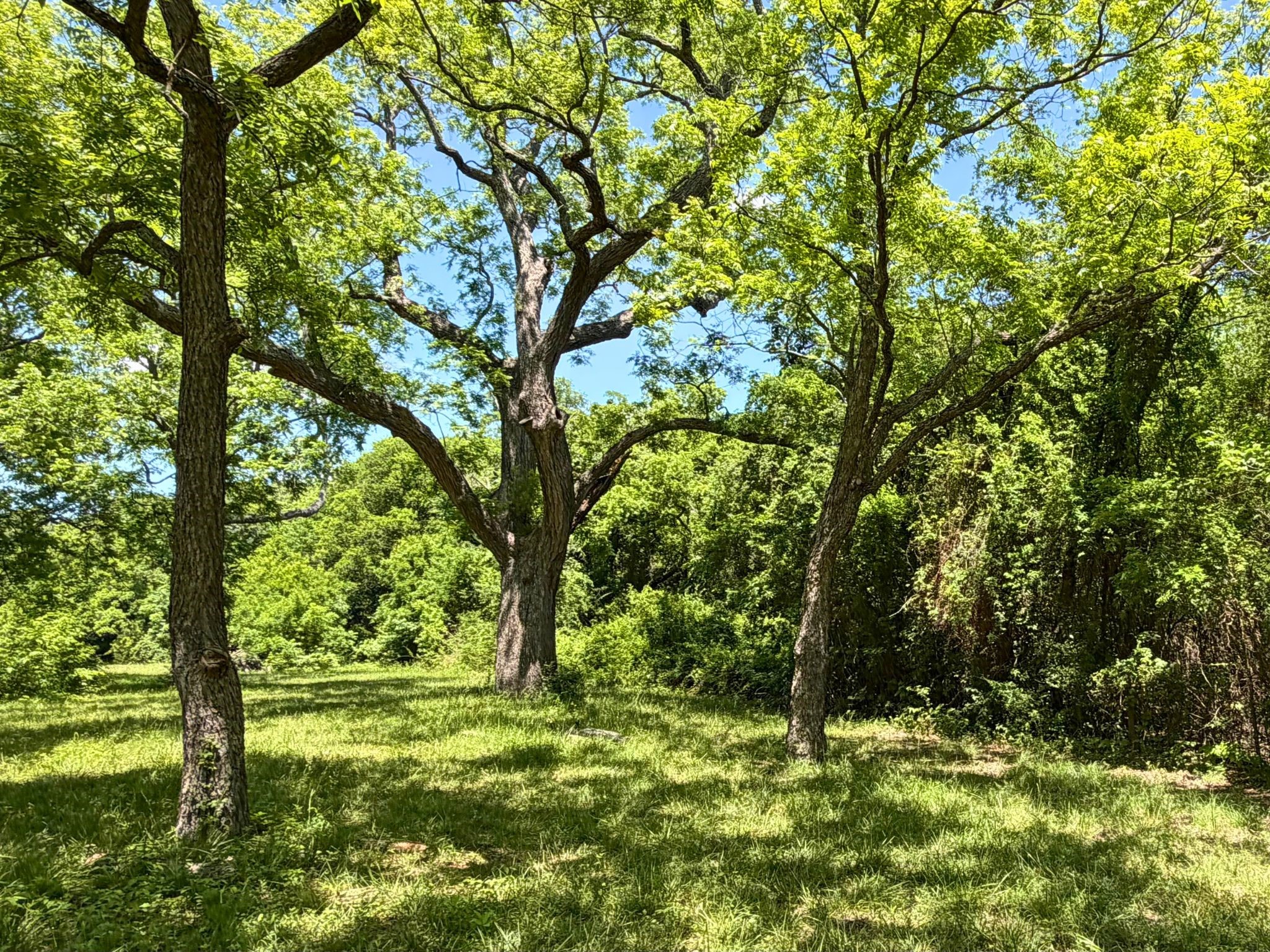 10180 County Road 437 Princeton TX 75407
