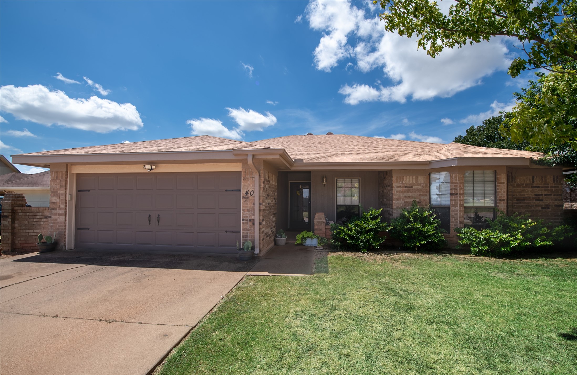 40 Queen Anns Lace Abilene TX 79606