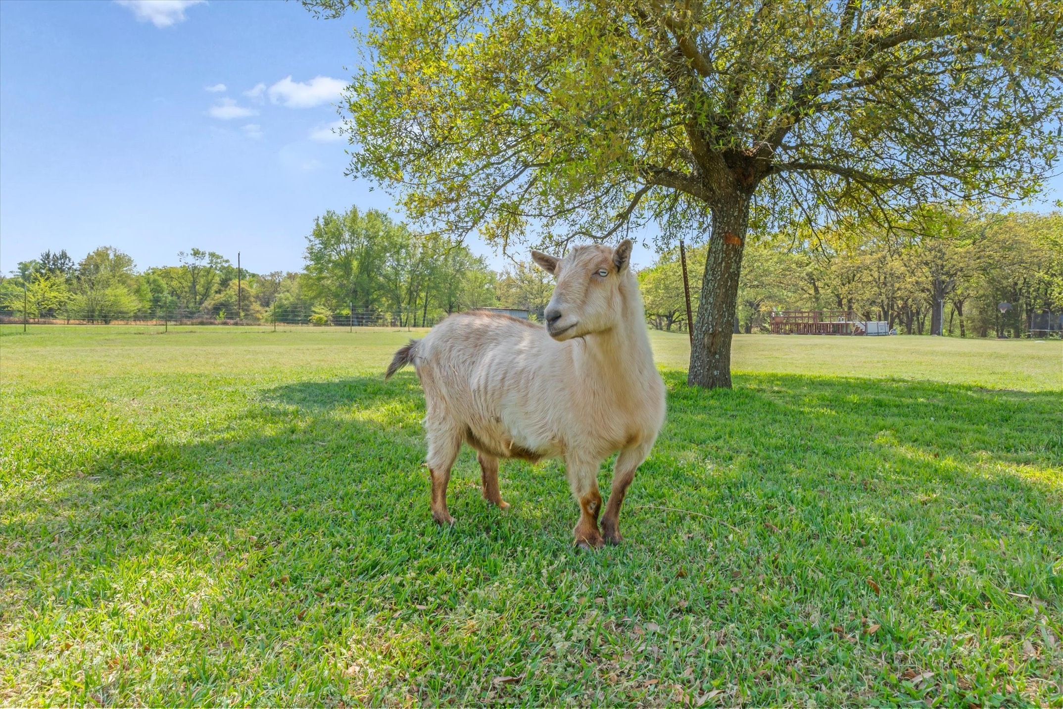 7142 S Fm 148 Kaufman TX 75142