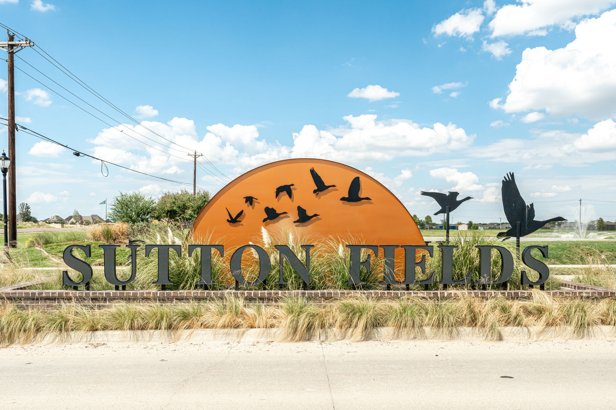 6229 Lassen Court Celina TX 76227