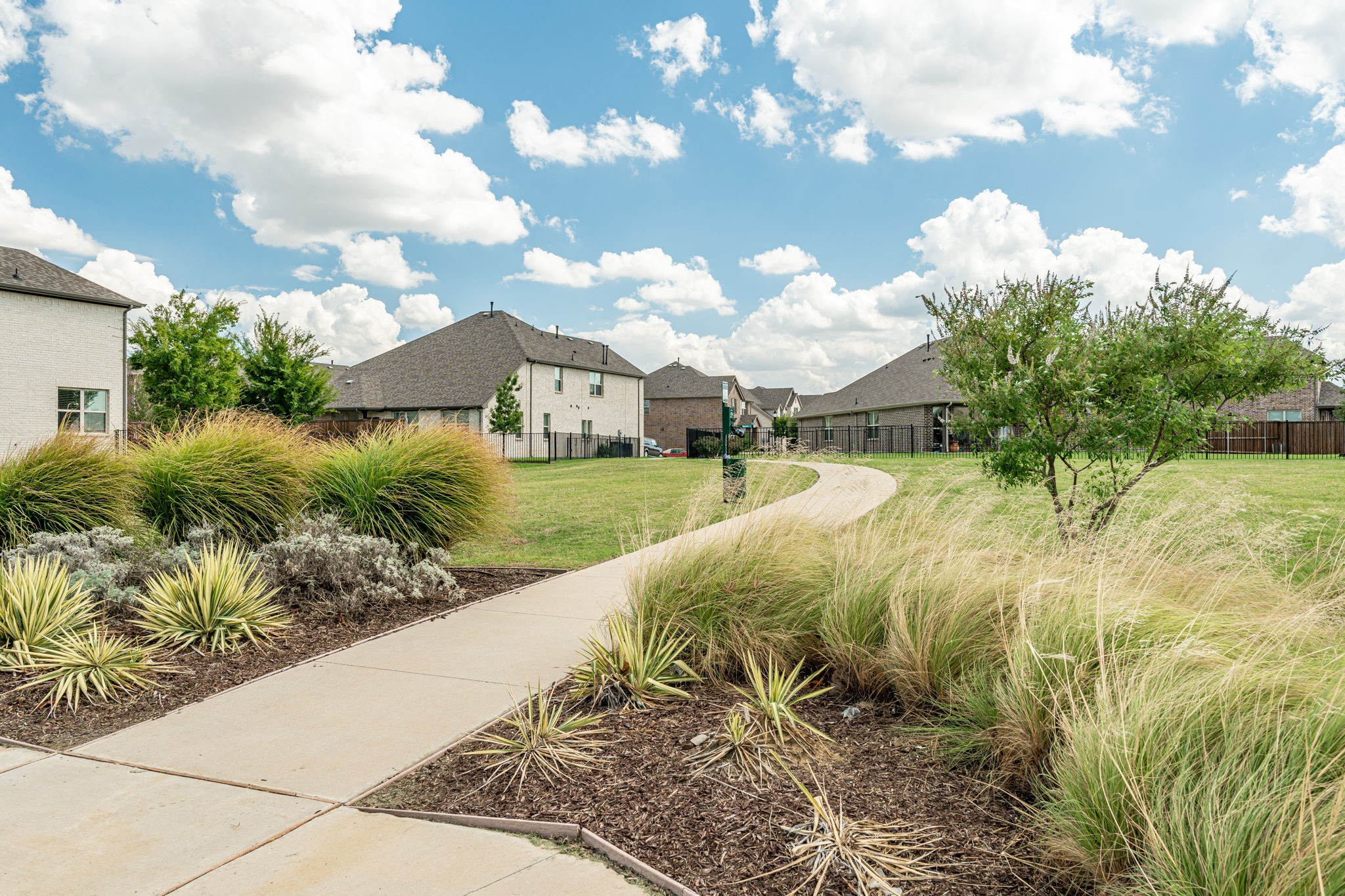 6229 Lassen Court Celina TX 76227