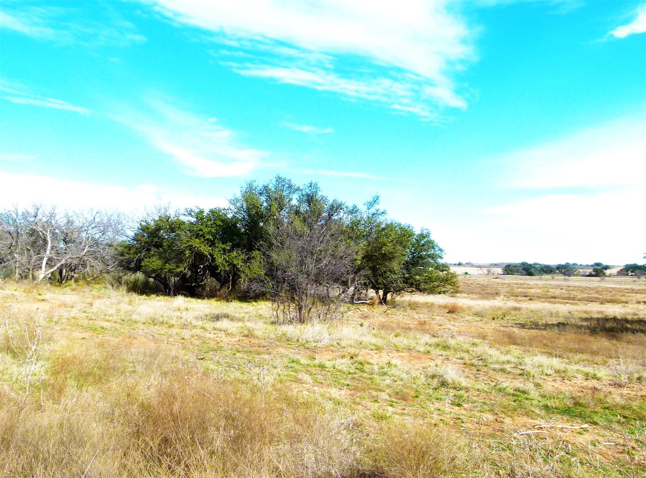 6500A Fm 586 Bangs TX 76823